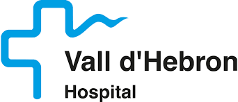 logo Vallhebron